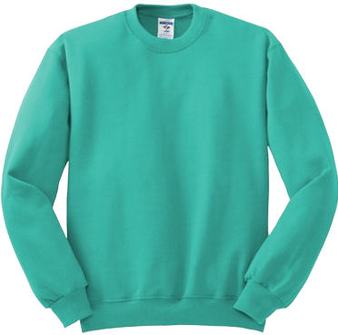 SWEATSHIRT (CREWNECK/HOODIE)