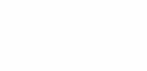 2 – DOOR SKINS (50″ X 24″)