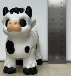 White And Black Cow
