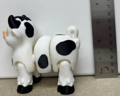 White And Black Cow