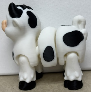 White And Black Cow